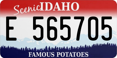 ID license plate E565705