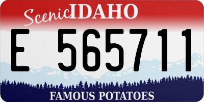 ID license plate E565711