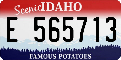 ID license plate E565713