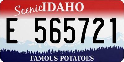 ID license plate E565721