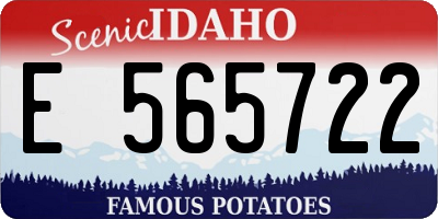 ID license plate E565722