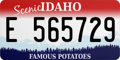 ID license plate E565729