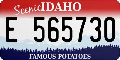 ID license plate E565730