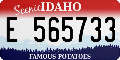 ID license plate E565733