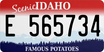 ID license plate E565734