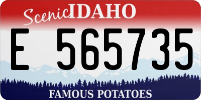 ID license plate E565735