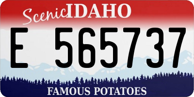 ID license plate E565737