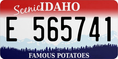 ID license plate E565741