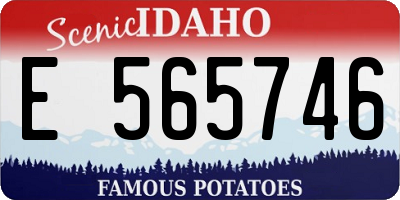 ID license plate E565746