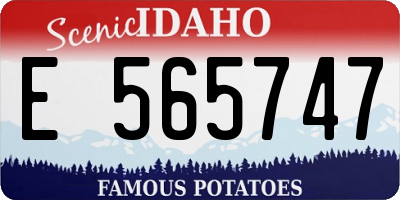 ID license plate E565747