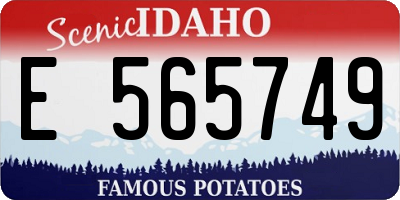 ID license plate E565749
