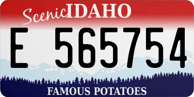ID license plate E565754