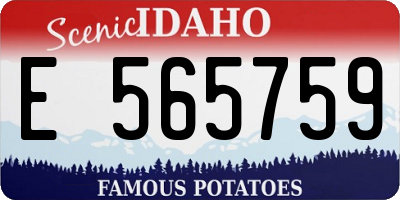 ID license plate E565759