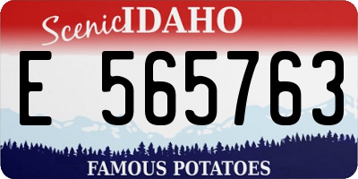 ID license plate E565763