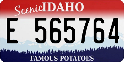 ID license plate E565764