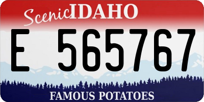 ID license plate E565767