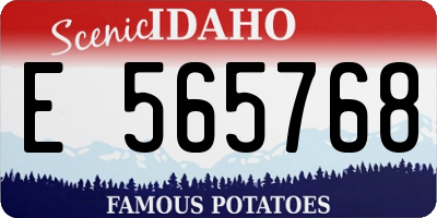 ID license plate E565768