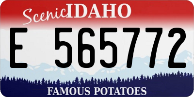 ID license plate E565772