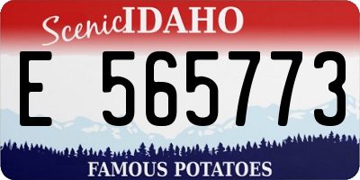 ID license plate E565773