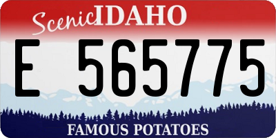 ID license plate E565775