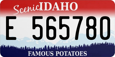 ID license plate E565780