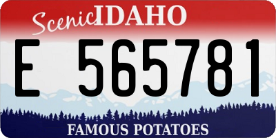 ID license plate E565781