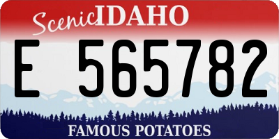 ID license plate E565782