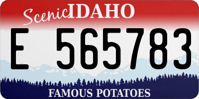 ID license plate E565783