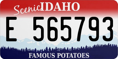 ID license plate E565793