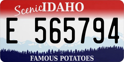 ID license plate E565794