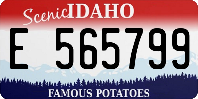 ID license plate E565799