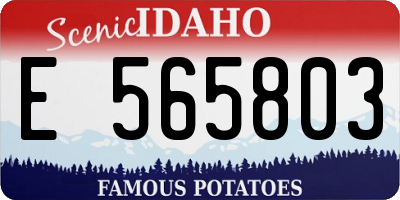 ID license plate E565803