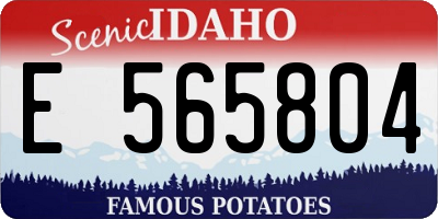 ID license plate E565804