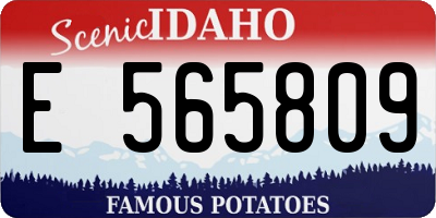 ID license plate E565809