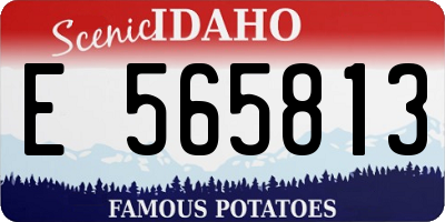 ID license plate E565813