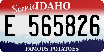 ID license plate E565826