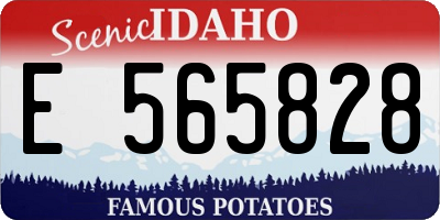 ID license plate E565828