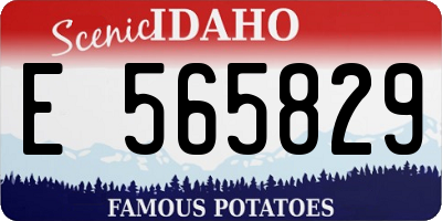 ID license plate E565829