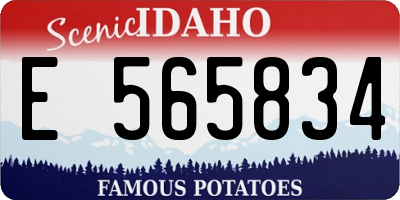 ID license plate E565834