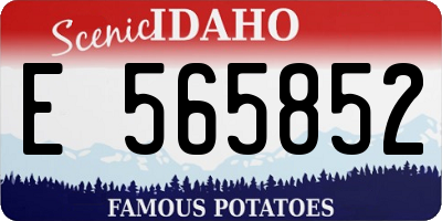 ID license plate E565852