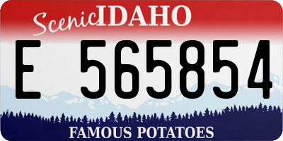 ID license plate E565854