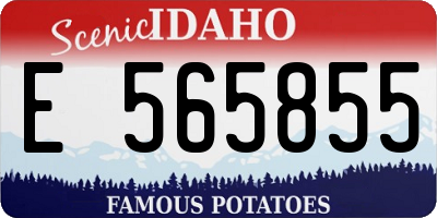 ID license plate E565855