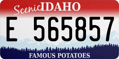 ID license plate E565857