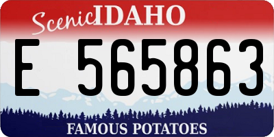 ID license plate E565863