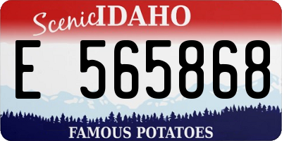 ID license plate E565868