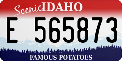 ID license plate E565873