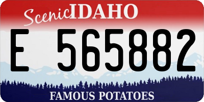 ID license plate E565882