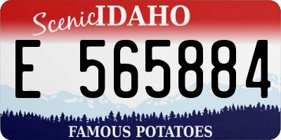 ID license plate E565884