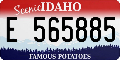 ID license plate E565885