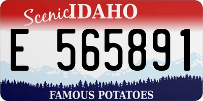 ID license plate E565891